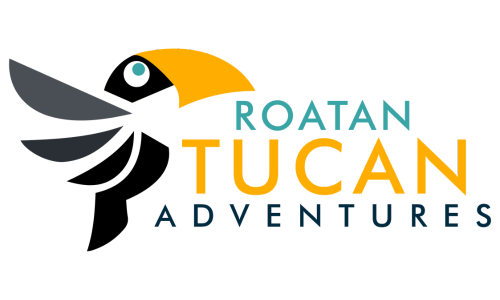 Logo Tucan Roatan Aventure