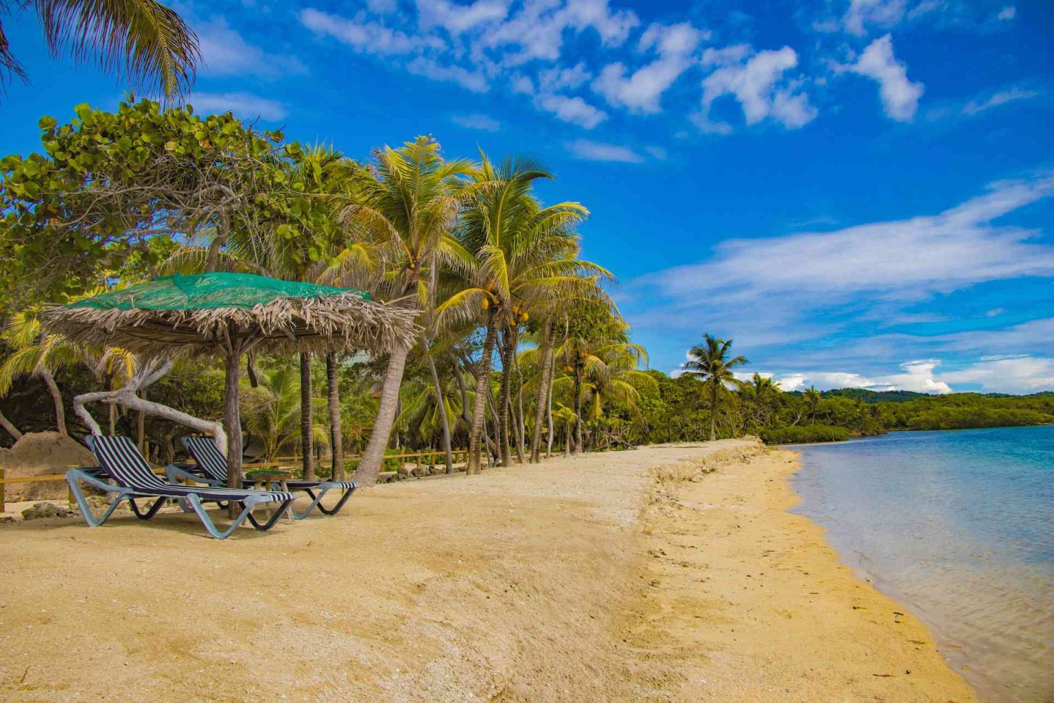 Roatán Bay Islands Honduras - ROATAN TUCAN - 2024