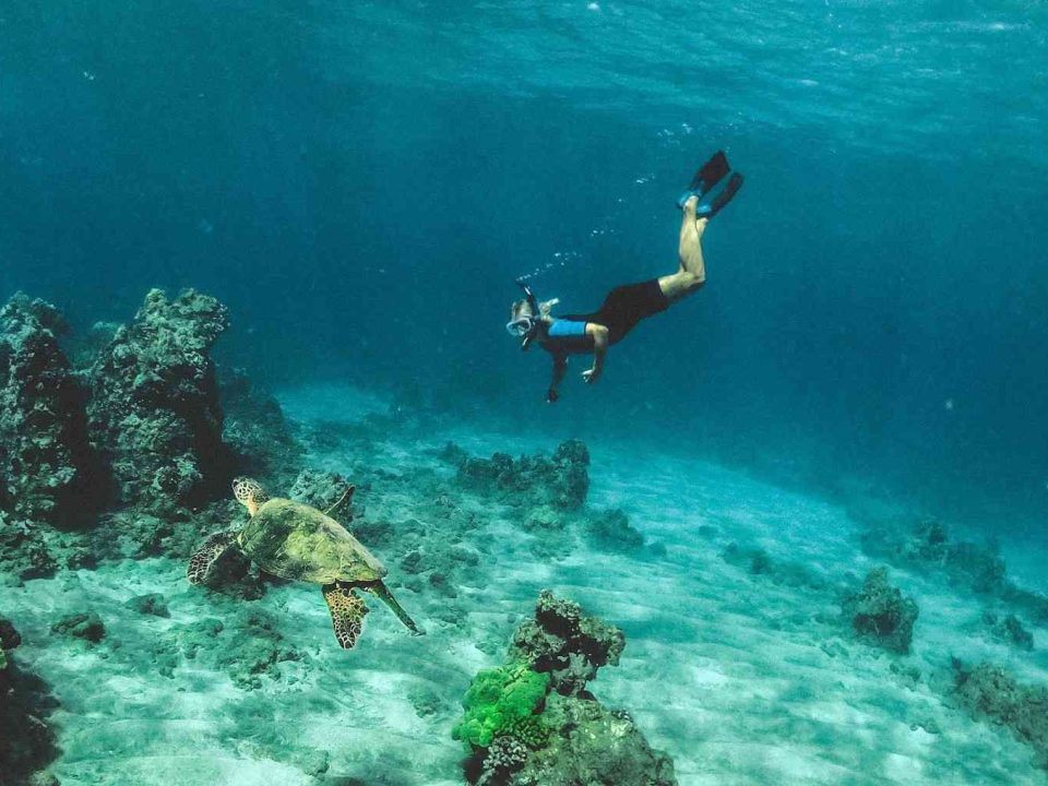 snorkeling roatán