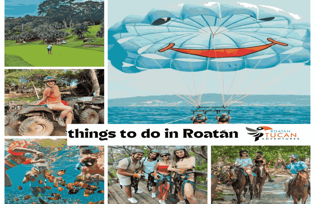 Things to Do in Roatán