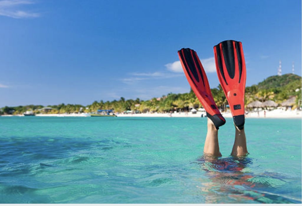best snorkeling excursions in roatan honduras