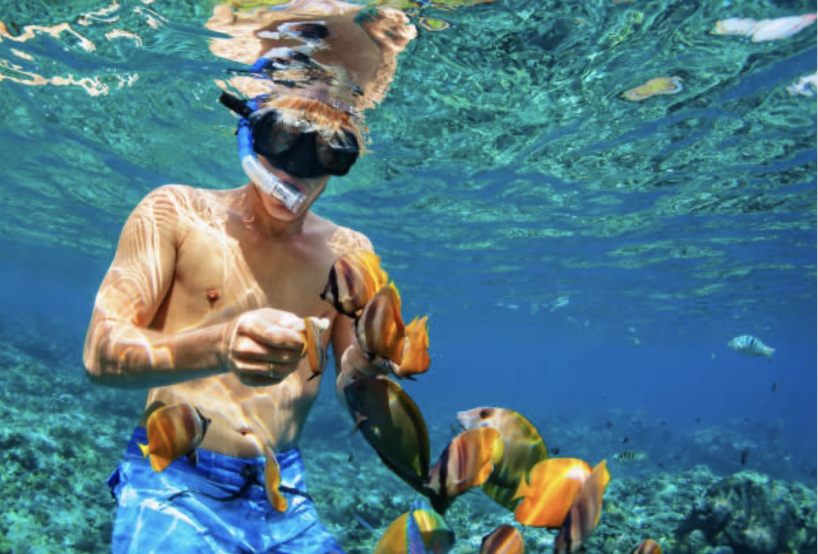 best snorkeling excursions in roatan honduras