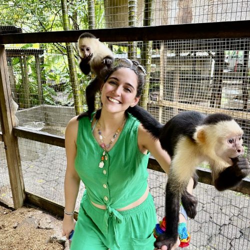 Daniel Johnson Sloth Monkey Park + Shuttle - Roatan Tucan Aventures