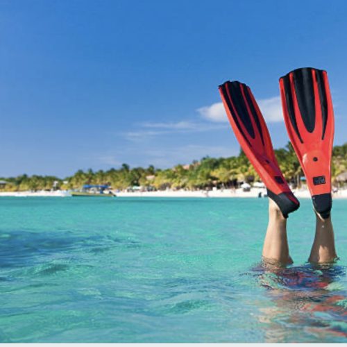 best snorkeling excursions in roatan honduras